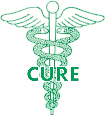 cure home care inc